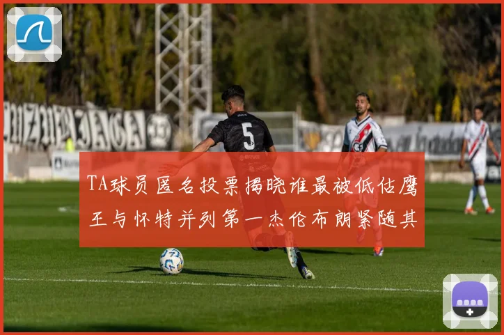 TA球员匿名投票揭晓谁最被低估鹰王与怀特并列第一杰伦布朗紧随其后