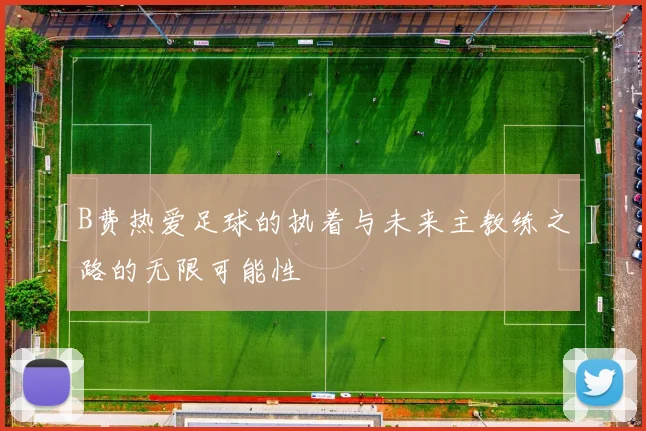 B费热爱足球的执着与未来主教练之路的无限可能性